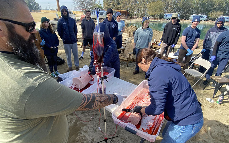 wound dressing course